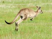 #12 לרבע את&nbsp;המעגל