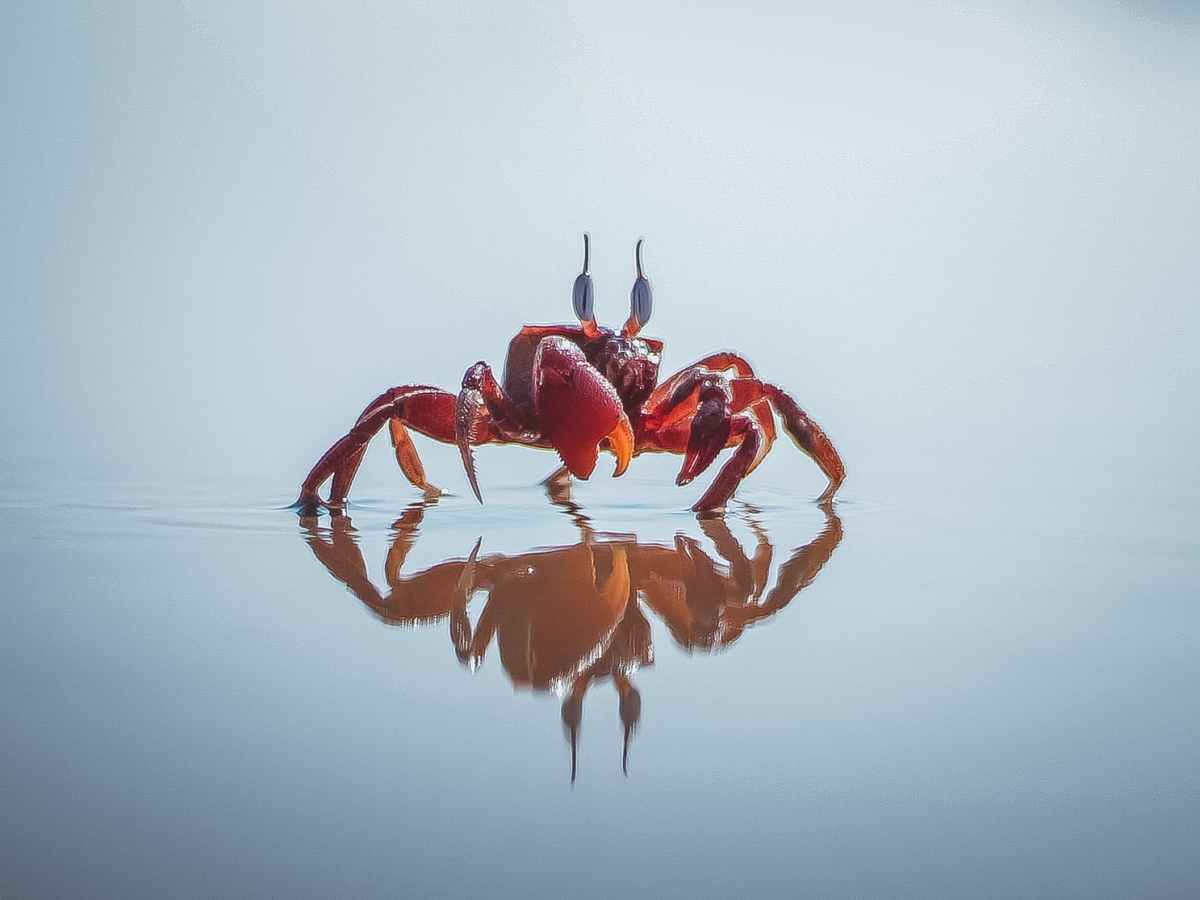 #60 אחד בשביל&nbsp;כולם