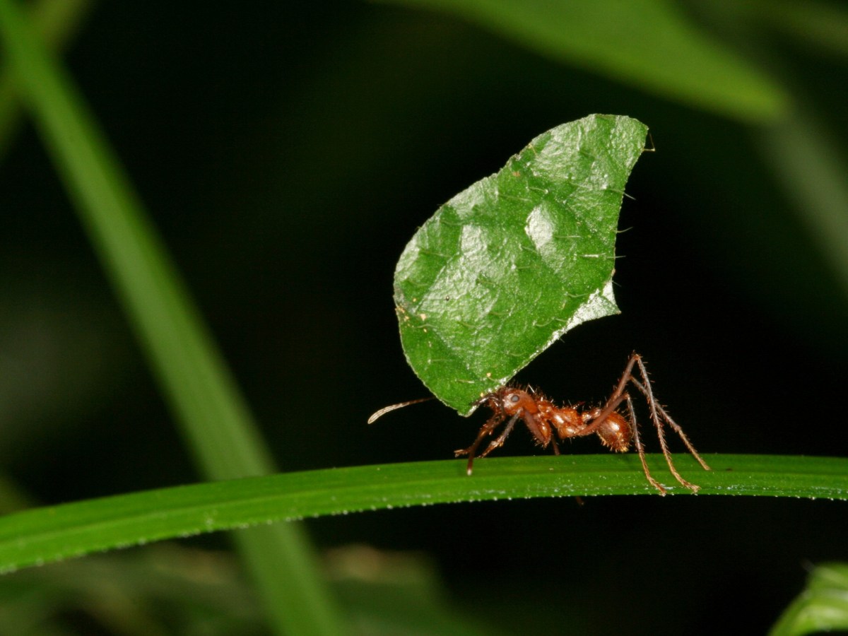#64 שהכל נהיה&nbsp;בגללו