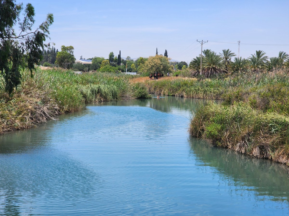 #108 תכנות מונחה&nbsp;עצבים