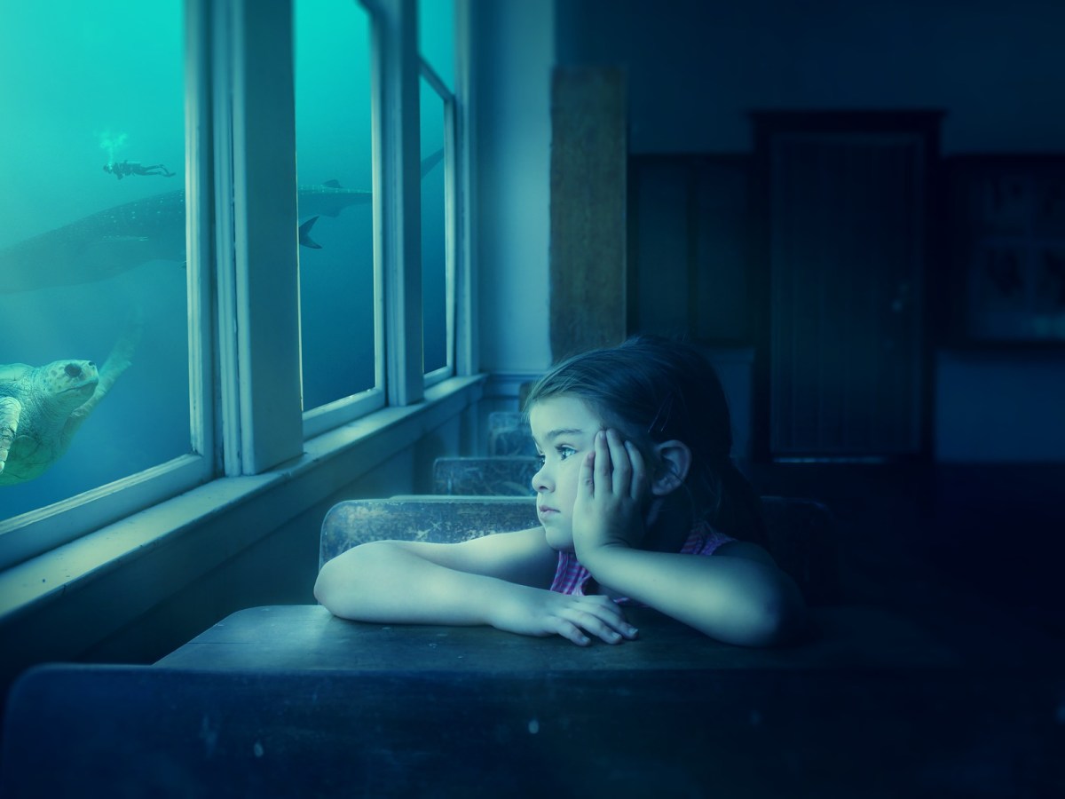 #117 אני לקודי וקודי&nbsp;לי