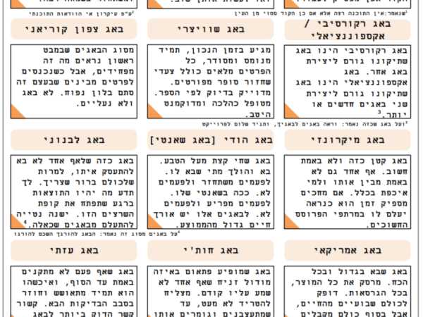 #129 מגדיר הבאגים&nbsp;המלא