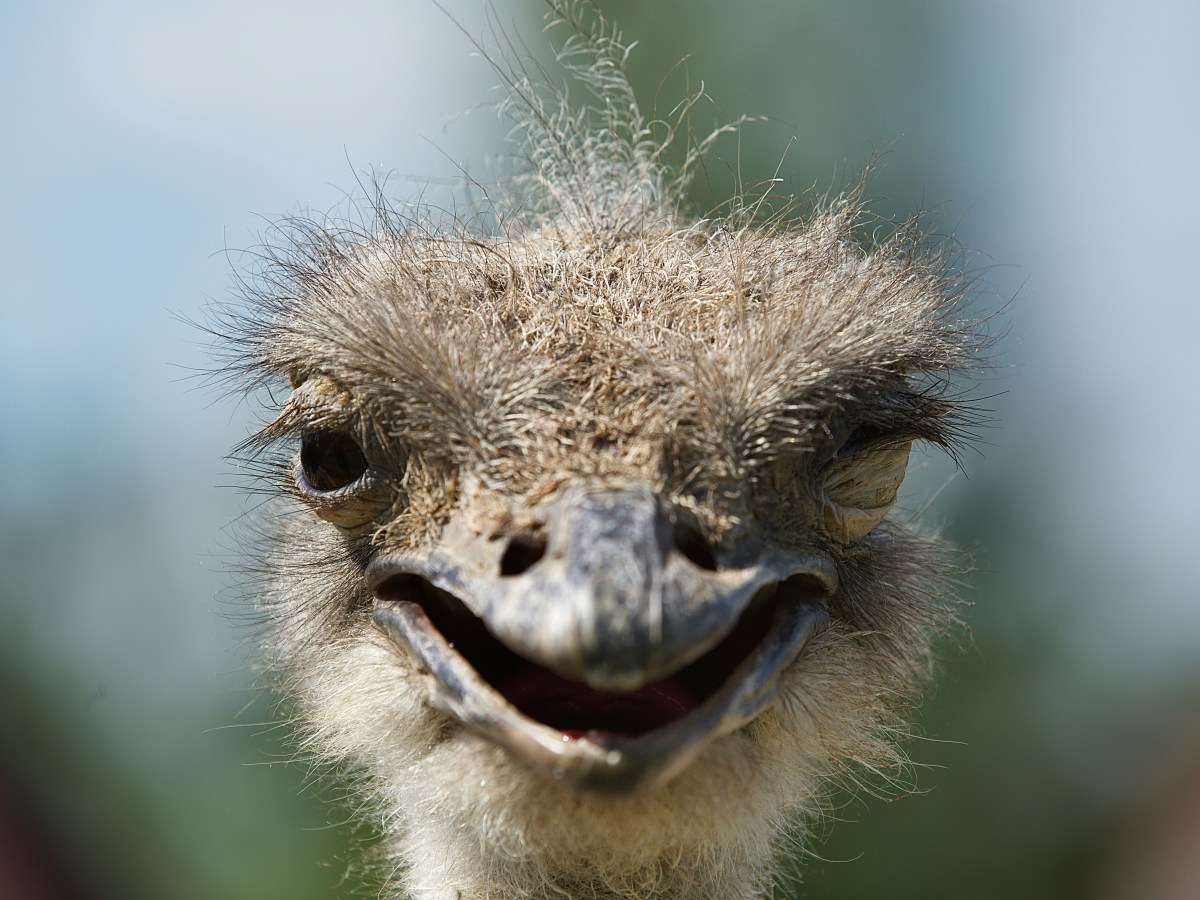 #132 טעות לעולם&nbsp;חוזר(ת)