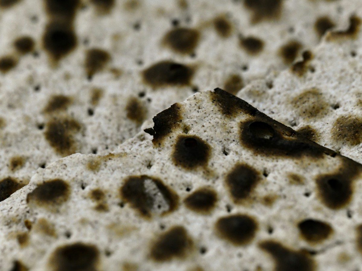 #140 באג יראה ובאג&nbsp;ימצא