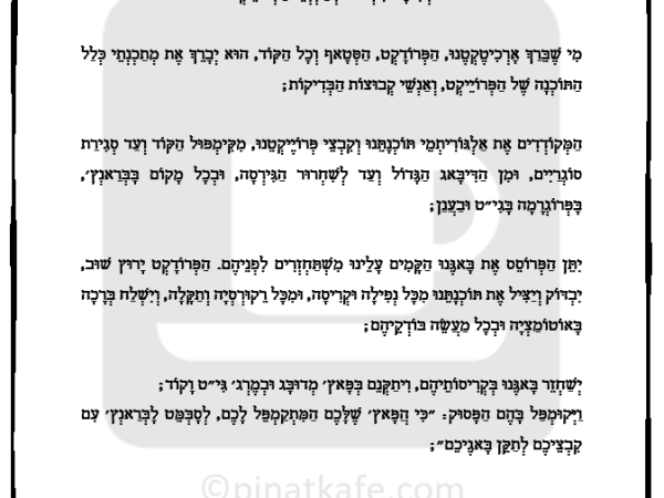 #142 מלחמתה של&nbsp;תוכנה