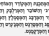 #176 מלאכות התוכנה